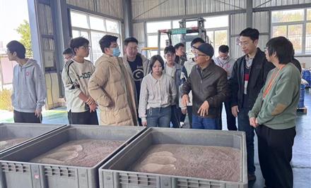 2026226152696826_440-267