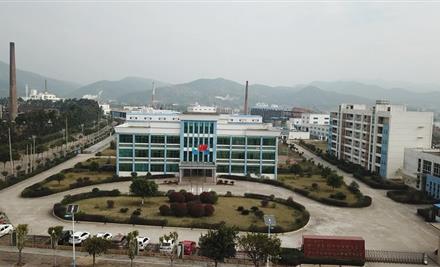 2023611654335153_440-267